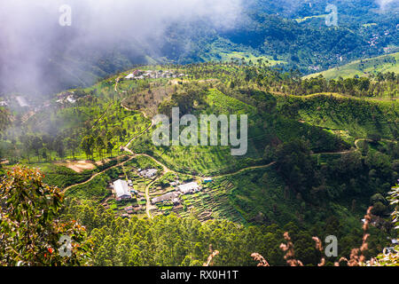 La piantagione di tè vicino Haputale. Lo Sri Lanka. Foto Stock