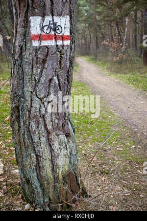 Bike Trail segno su un albero in una fitta foresta. Foto Stock