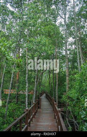 Tanjung Piai,, l'estremo sud del continente asiatico, Ponziano, Malaysia Foto Stock