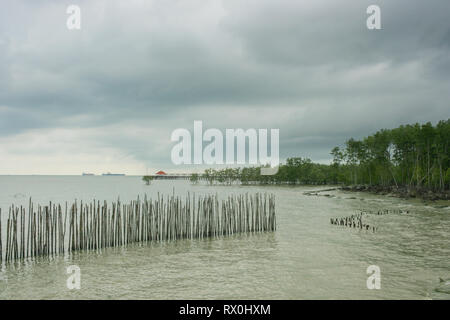 Tanjung Piai,, l'estremo sud del continente asiatico, Ponziano, Malaysia Foto Stock