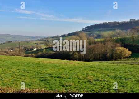 Devon vista sulla campagna con il verde delle colline, alberi e case di distanza, vicino Cadbury, Bickleigh, REGNO UNITO Foto Stock