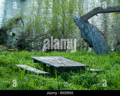 Tavoli in legno e panche in un area picnic in riva del fiume tra l'erba Foto Stock