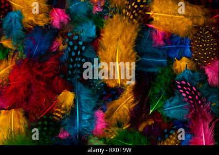 Piume variopinte in modelli astratti la creazione di modelli di colore. Foto Stock