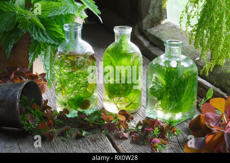Bottiglie e flaconi di tintura o infusione di erbe curative, ortica e le erbe medicinali sul tavolo di legno in un retrò casa di villaggio. La medicina di erbe. Foto Stock