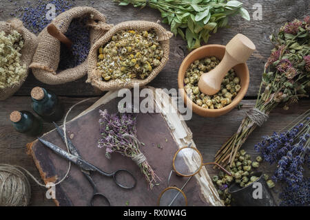 Vecchio libro, occhiali, tintura bottiglie, assortimento di secca erbe sane, Malta. La medicina di erbe. Vista superiore, piatto laici. Foto Stock