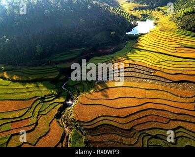 Terrazze di riso nel nord del Vietnam Foto Stock