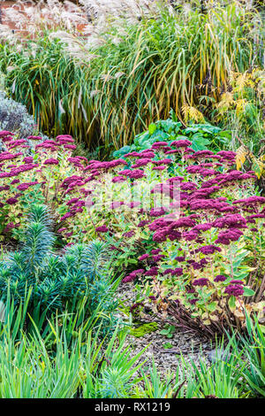 Parte di un autunno piante erbacee perenni confine in un giardino di ghiaia. Foto Stock