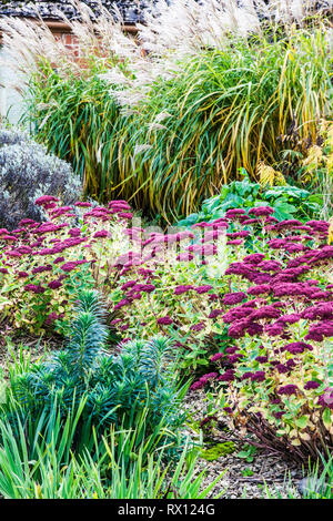 Parte di un autunno piante erbacee perenni confine in un giardino di ghiaia. Foto Stock