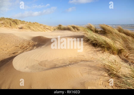 Ventoso dune di sabbia sul Camber Sands, campanatura, nei pressi di segale, East Sussex, England, Regno Unito, Europa Foto Stock
