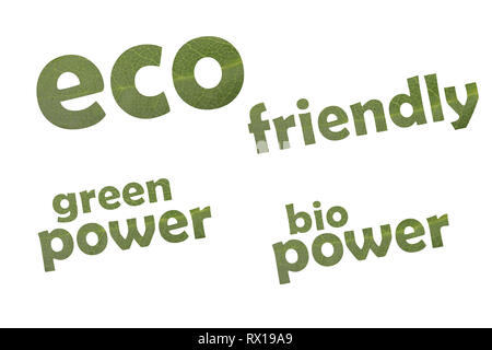 Raccolta di parole chiave eco friendly, energia verde e bio power tagliati da una foglia verde Foto Stock
