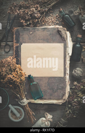 Vecchio libro antico, tintura bottiglie, assortimento grappoli di estratto secco di erbe salutari, Malta. La medicina di erbe. Vista dall'alto. Lay piatto. Foto Stock