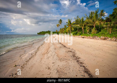 Tomia Island è la terza isola dell'Wakatobi. mini arcipelago. Tomia è altamente considerato per la bellezza del mondo sottomarino che lo circonda. Foto Stock