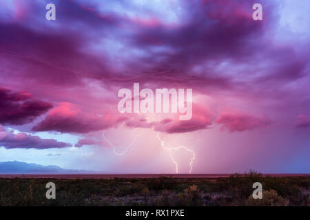 Fulmine che colpisce da una tempesta sopra la Willcox Playa al tramonto a Willcox, Arizona, Stati Uniti Foto Stock