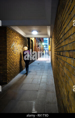 Vista posteriore di una giovane donna che cammina in un Semi Dark lastricata di passaggio tra gli edifici Foto Stock