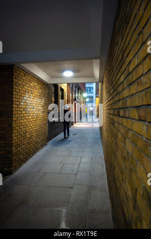 Vista posteriore di una giovane donna che cammina in un Semi Dark lastricata di passaggio tra gli edifici Foto Stock