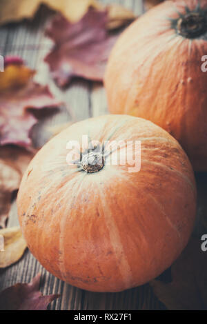 Zucche sul tavolo di legno con caduti autunno foglie di acero. Foto Stock