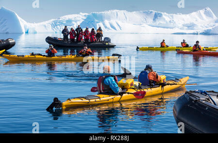 Kayakers e Zodiak passeggeri incontro vicino a Minke Whale mentre paddling in Curtis Bay, Penisola Antartica Foto Stock