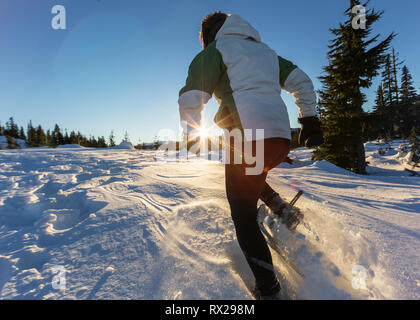 Il sole che tramonta mette in risalto una ciaspolatrice che corre nella neve secca e polverosa vicino al Monte Washington. Comox Valley, Vancouver Island, British Columbia, Canada. Foto Stock