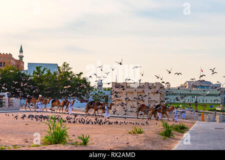 Doha, Qatar - 7 Gennaio 2019: Cammels sulla strada vicino Souq Waqif a Doha, in Qatar. Foto Stock