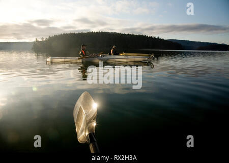 WA02499-00...WASHINGTON - Kayakers paddeling in Wescott Bay su San Juan Island. Foto Stock