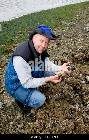 WA02435-00...WASHINGTON - Jim Johanson la raccolta di ostriche e mitili in Wescott bay su San Juan Island. Foto Stock