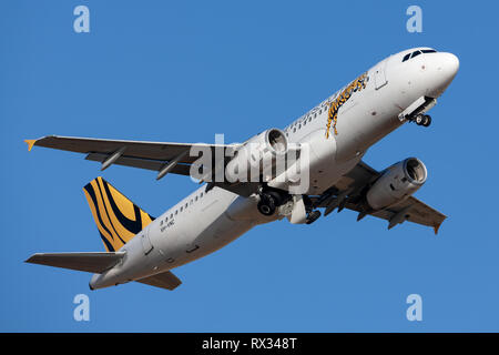 Tiger Airways Airbus A320 aereo di linea che decollano dall'Aeroporto di Adelaide. Foto Stock