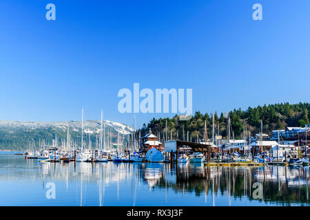 Alcuni dei porti turistici in Cowichan Bay, British Columbia Foto Stock