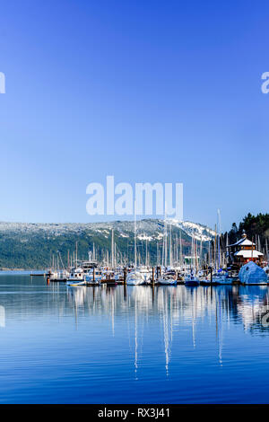 Alcuni dei porti turistici in Cowichan Bay, British Columbia Foto Stock