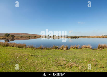 Ampia piscina, sotto Cefn Bryn, Penisola di Gower, Swansea, South Wales, Regno Unito Foto Stock