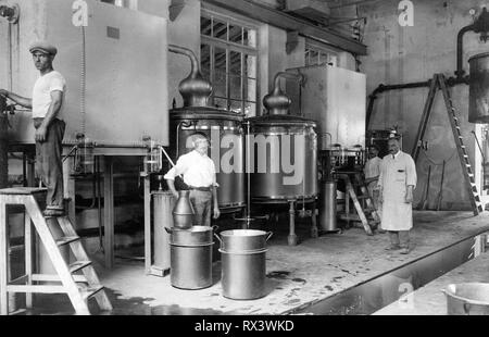 Industria di Vallecrosia, industria di profumi, 1910-1920 Foto Stock