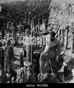 Resti di palafitte sul fiume Mincio, Italia 1957 Foto Stock
