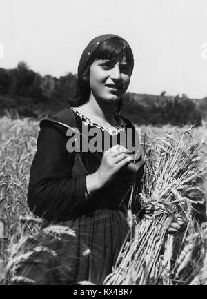 L'Europa, Italia, Calabria, gioiosa trebbiatrice di ioni in un campo di grano, 1920-30 Foto Stock