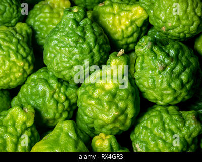 La freschezza del Bergamotto buccia verde brillante su sfondo nero Foto Stock