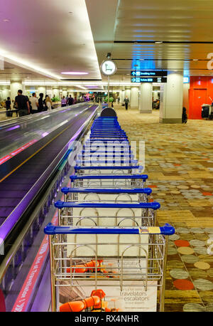 Carrelli portabagagli schierate presso l'aeroporto di Singapore Foto Stock