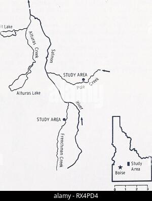 Effetti di pecore al pascolo su effetti di pecore al pascolo su un rivierasche-stream effectsofsheepgr ambiente307plat Anno: 1981 1** United States Department of Agriculture Forest Service Intermountain Forest e la gamma di Esperimento Stazione Ricerca Nota INT-307 Marzo 1981 Effetti di pecore al pascolo su un ambiente Riparian-Stream - William S. Platts1 ABSTRACT se &gt;** una sezione di flusso in un prato della ricezione di alta intensità il pascolo di ovini è stato quasi cinque volte più ampia e solo un quinto come profondo (media) come un flusso adiacente sezione dove il prato luce ricevuta o no al pascolo. In pesantemente pascolano Foto Stock