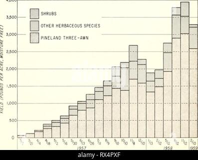 Effetto di masterizzazione su sud Effetto di masterizzazione su South Florida gamma effectofburningo146hilm Anno: 1962 bruciato sul Caloosa gamma sperimentale per herbage studio di produzione. 4.000 Figura 1. - -Resa di pineland tre-awn, altre specie erbacee e arbusti su una Florida del sud compreso in un periodo di due anni a seguito di un Febbraio 14, 1957, il fuoco. Foto Stock