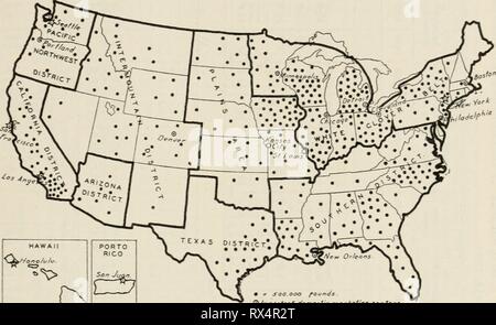 Aspetti economici del bee aspetti economici dell'industria apicola economicaspectso555voor Anno: 1933 Bul. 555 J Ecoxo.mk aspetti dell industria apicola 9 DISTRIBUZIONE GEOGRAFICA DELL'APICOLTURA NEGLI STATI UNITI Bee cultura è praticata generalmente oltre gli Stati Uniti (fig. 1) e nelle aree con ampiamente diversi climi e di flora, ad esempio, Wyoming e Florida. Questa ampia distribuzione e la mancanza di concentrazione è forse uno hoxey-producixg distretti degli stati uniti e la Produzione annuale stimata, 1928-1931 {°s GV HAWAII X^/no/v/u. 0 PORTO RICO figlio Juan crt7 0 importanti marketing interno c Foto Stock