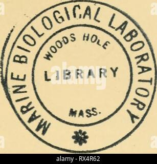 Le uova dei mammiferi (1936) Le uova dei mammiferi eggsofmammals00pinc Anno: 1936 Questo libro è dedicato a W. E. Castello e W. J. pazzesco Foto Stock