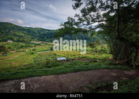 Vista sulla strada di ritorno dal Monte Kelimutu con il suo tri-laghi colorati sull isola di Flores in Indonesia Foto Stock