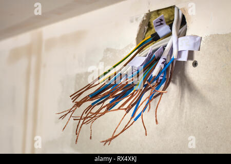 Esposti elettrici collegati fili sporgenti dalla presa sul muro bianco. Cablaggio elettrico dell'installazione. Opere di finitura in appartamento ristrutturato. Foto Stock