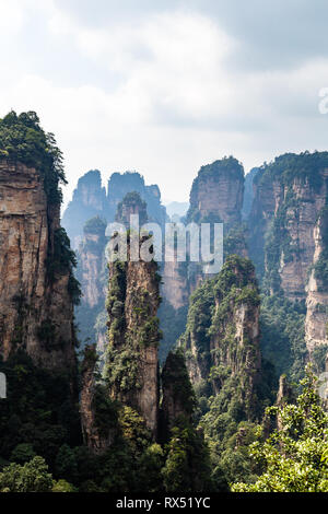 Il panorama della cosiddetta foresta nera nella zona Yuanjiajie in Wulingyuan National Park, Zhangjiajie, Hunan, Cina. Wulingyuan parco nazionale è stato Foto Stock