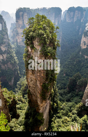 Quarzo naturale pilastro di pietra arenaria Hallelujah Mountain, 1.080 m si trova in Zhangjiajie Wulingyuan National Park, Area Yuanjiajie, Hunan, Cina. Esso Foto Stock