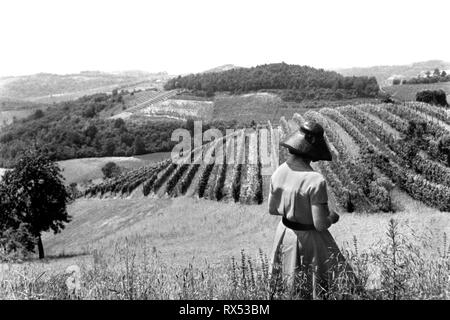 Vigneti, l'Albugnano, Piemonte, Italia, 1959 Foto Stock