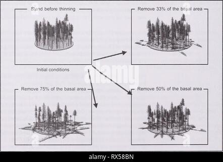 Ecologico e valutazione finanziaria di ecologico e valutazione finanziaria del tardo-successional reserve management ecologicalfinanc531humm Anno: 2001 figura 4-Plot dati dal patch delineato proiettata utilizzando la vegetazione forestale simulatore modello per caratterizzare potenziali condizioni di stand. La figura 5-Grand rimozione fir (percentuale di area basale) sotto tre intensità di trattamento applicato alla patch delineato nella figura 4 (sopra). 14 Foto Stock