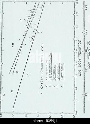 Gli aspetti ecologici e fisiologici del controllo ecologico e di controllo fisiologico della perdita di acqua in serpenti ecologicalphysio00krakrich Anno: 1970 17 (^H-Dnn'^NOlldl'-nSNOO NdOAXO 901 u l3 ho O O O O CO tr&GT; o a (^H-9/Ta;) NO!J.ci'^!nsN:oo n30axo Foto Stock