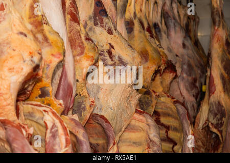 Magazzino refrigerato, ganci di sospensione, congelati Carcasse di agnello. Halal tagliato. Foto Stock