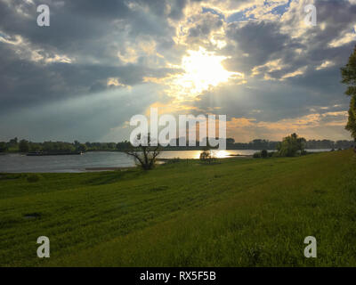 Sponde del fiume Reno e lungo Lohauser Deich a Dusseldorf, Germania Foto Stock