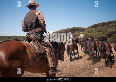 L'Europa, Italia, Lazio, Tarquinia, gioco equo, Italiana cowboy, butteri Foto Stock