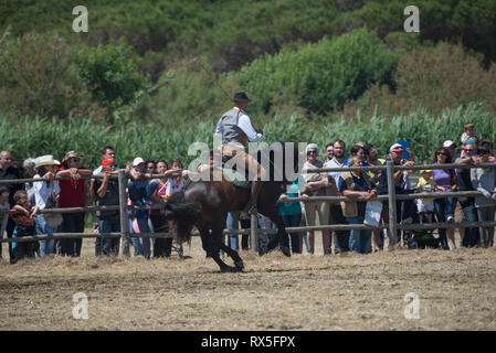 L'Europa, Italia, Lazio, Tarquinia, gioco equo, Italiana cowboy, butteri Foto Stock