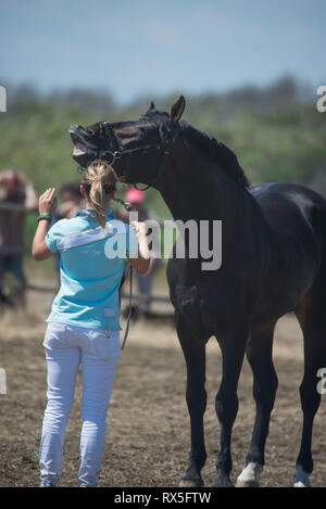 L'Europa, Italia, Lazio, Tarquinia, gioco equo, Italiana cowboy, butteri Foto Stock